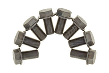 Load image into Gallery viewer, Photo - Primary