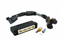 Load image into Gallery viewer, Haltech Elite 2500 Plug-n-Play Adaptor Harness