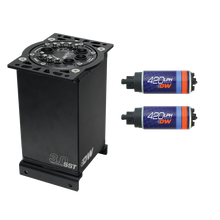 Load image into Gallery viewer, DeatschWerks 3.0L Staged Surge Tank w/ DW420 Fuel Pumps
