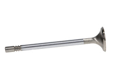 Load image into Gallery viewer, Manley Ford Modular Coyote 5.0L Gen III Race Master Series Exhaust Valve - 1.260in Dia