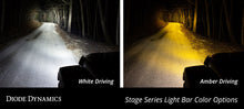 Load image into Gallery viewer, Diode Dynamics Raptor 2017 Stage Series Fog Kit Stage Series 6 In - White Wide