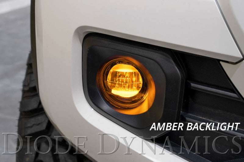 Diode Dynamics Elite Series Type B Fog Lamps - White (Pair)