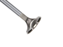 Load image into Gallery viewer, Manley Ford Modular Coyote 5.0L Gen III Race Master Series Intake Valve Set - 1.485in Dia