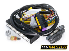Load image into Gallery viewer, 02-05 LEXUS IS300 &amp; 02-05 GS300 PNP FOR EMU BLACK
