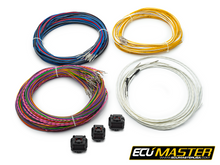 Load image into Gallery viewer, ECUMaster Printed Flying Lead Harness for EMU PRO-8