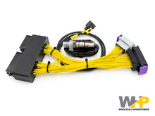 Load image into Gallery viewer, MITSUBISHI EVO X PNP For EMU BLACK