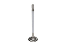 Load image into Gallery viewer, Manley Ford GT350 Voodoo 5.2L Race Master Series Exhaust Valve Set - 1.280in Dia