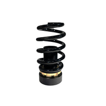Load image into Gallery viewer, BLOX Racing 17+ Honda Civic Si Plus Series Fully Adjustable Coilovers 17+ Honda Civic Hatchback 52mm