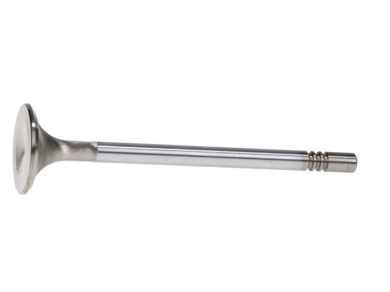 Manley Ford Modular Coyote 5.0L Gen III Race Master Series Exhaust Valve - 1.260in Dia