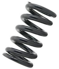 Load image into Gallery viewer, Tein Standard Springs 3kg ID 70mm Free Length 225mm (Two Springs)