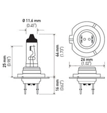 Load image into Gallery viewer, Technical Drawing