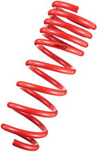 Load image into Gallery viewer, Tanabe DF210 Springs 06-07 GS300