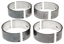 Load image into Gallery viewer, User 1