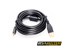 Load image into Gallery viewer, EMU Black USB A to Micro-USB Male-Male Cable